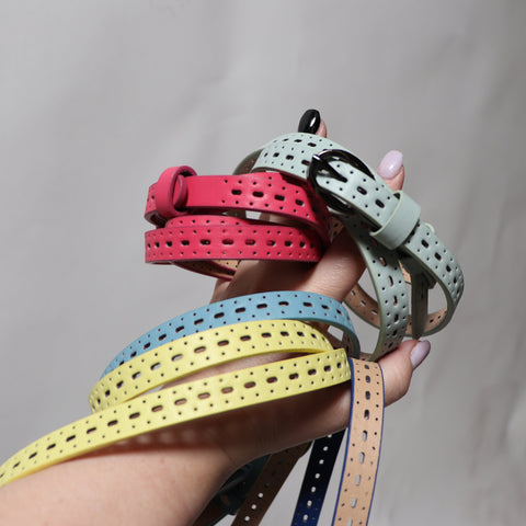 THE BACKBONE BELT