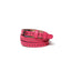 THE BACKBONE BELT