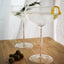 Champagne/ Cocktail Coupe - Rose Quartz (2 Piece)