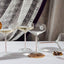 Champagne/ Cocktail Coupe - Rose Quartz (4 Piece)